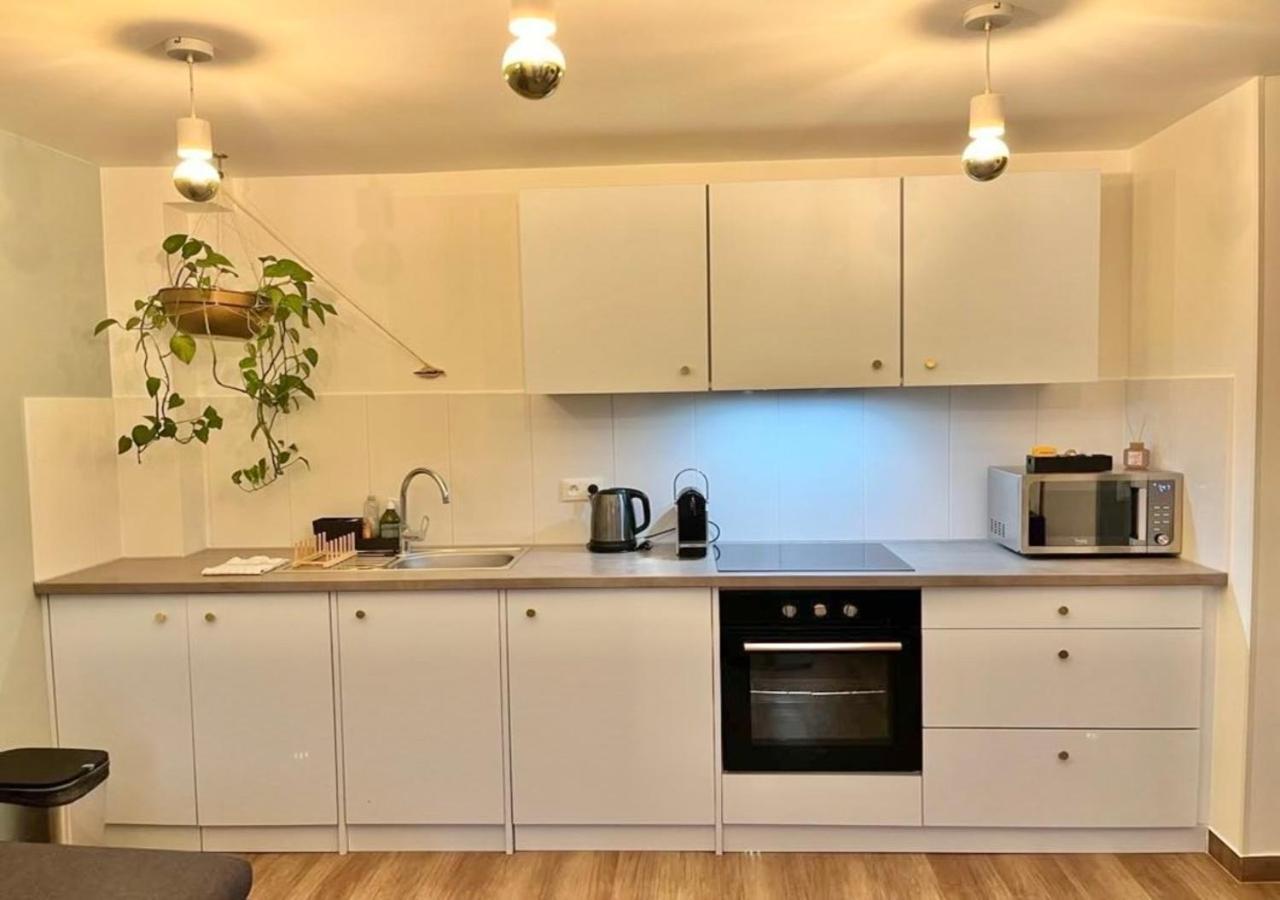 Appartement 2P Strasbourg Centre Zewnętrze zdjęcie